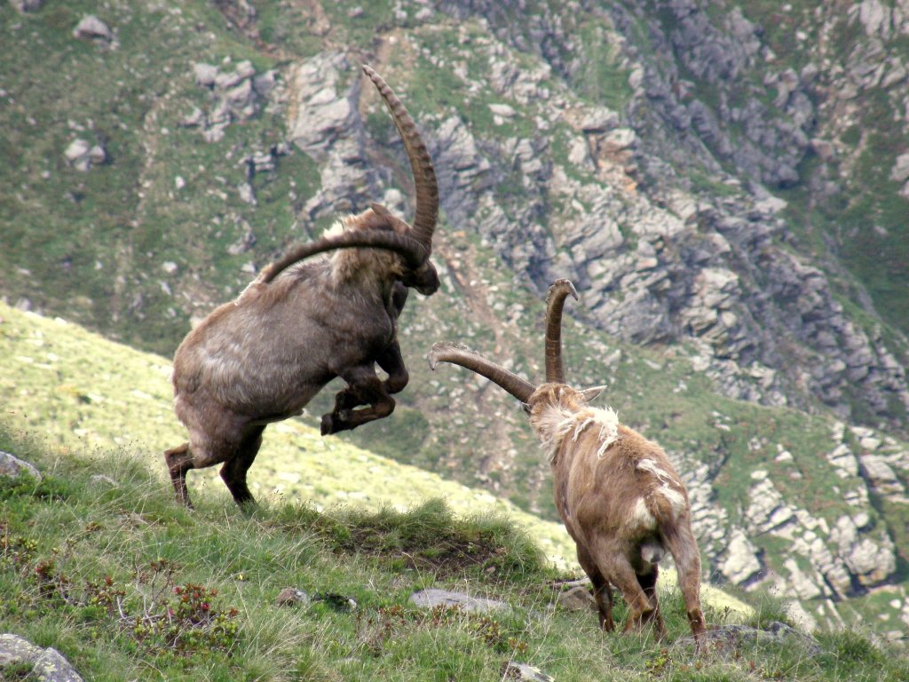 A ognuno il suo SEDERE!